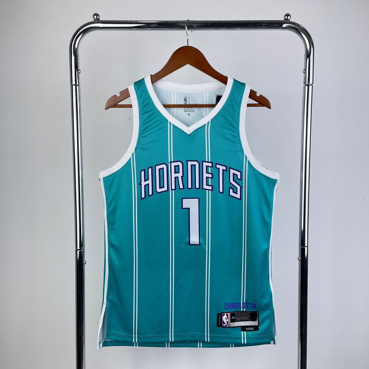 Charlotte Hornets Icon (Current)- #1