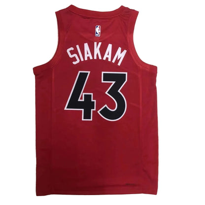 Toronto Raptors Icon (Current)