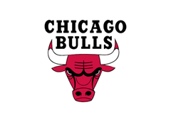 Chicago Bulls logo